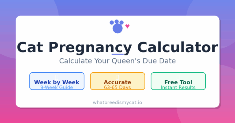 Cat Pregnancy Calculator